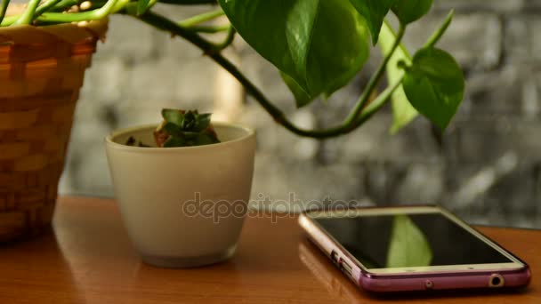 Стіл з квітами і мобільний телефон — стокове відео