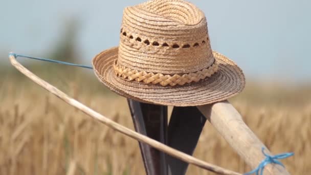 Slaměný klobouk v poli obilí — Stock video