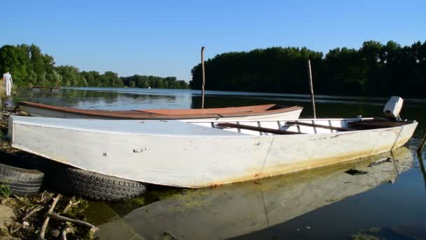 Boote im Wasser am Flussufer — Stockvideo