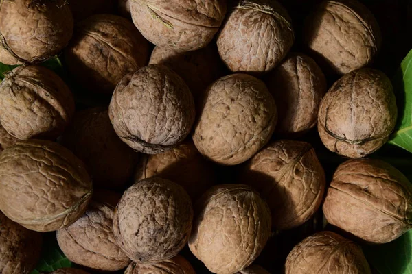 Ceviz yığını kapat