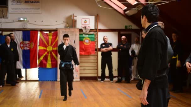 A seminar of martial arts,veteran teaching senior,city of Zrenjanin,Serbia,11th of March 2017. — Stock Video