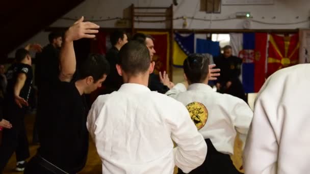 Um seminário de artes marciais, veterano de ensino sênior, cidade de Zrenjanin, Sérvia, 11 de março de 2017 . — Vídeo de Stock