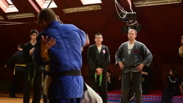 Seminario de artes marciales, veterano docente senior, ciudad de Zrenjanin, Serbia, 11 de marzo de 2017 . — Vídeos de Stock