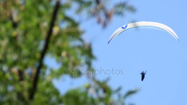 Muž spravuje paragliding na modré obloze, fotoaparát zaznamenává prostřednictvím stromu — Stock video