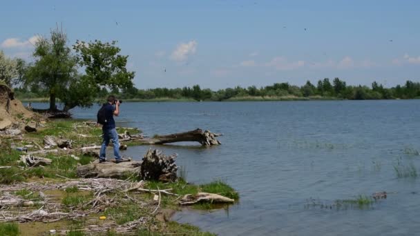 Ein männlicher Fotograf fotografiert eine Schwalbenschar am Seeufer — Stockvideo