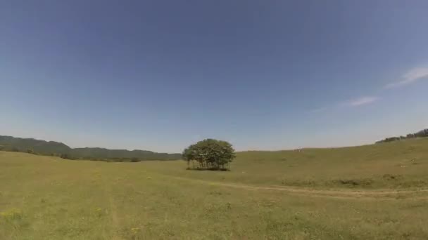 Όμορφα πράσινα λιβάδια σε μια ηλιόλουστη μέρα, η κάμερα μετατρέπεται σε έναν κύκλο — Αρχείο Βίντεο