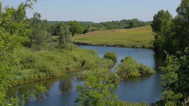 Красота нетронутой природы, зелени вокруг озера, реки — стоковое видео