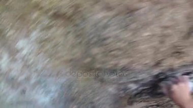 gençlere taş, kaya tırmanma ekipman, serbest tırmanış, bir klip için onun açısından bakıldığında, 4 k tırmanıyor