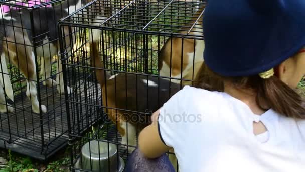 Petite fille câlinant chiens de chien dans une cage — Video
