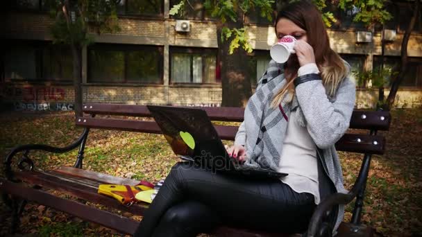2in1, 一个在户外办公室工作的年轻妇女在笔记本电脑和喝咖啡/茶从一杯红心, 公园在秋季 — 图库视频影像