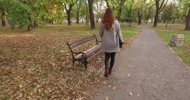 Una chica con un portátil caminando hacia el banco en el parque, luego se sentó en el banco, abrió su computadora portátil y comenzó a trabajar — Vídeos de Stock