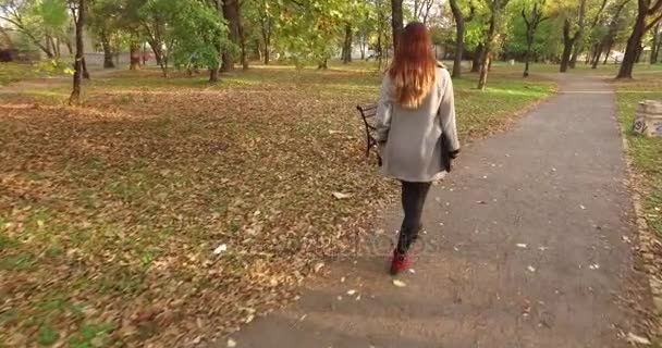 A girl with a laptop walking to the bench in the park, then she sat down on the bench, opened her laptop and started working — Stock Video