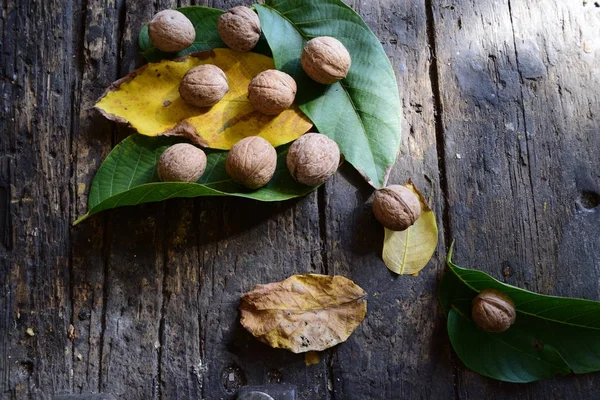 Walnut on yellow and green leaves, dark wood backing — Stock Photo, Image