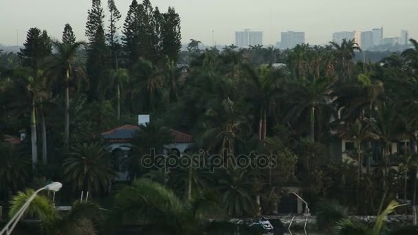 MIAMI, FL, EUA - SETEMBRO 12, 2017: Miami após o furacão Irma, Palm Ave, Miami Beach, belas palmeiras e casas — Vídeo de Stock