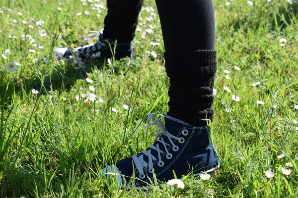 çim, eğitim, egzersiz, yoga, meditasyon, spor ayakkabı koşu, koşu mavi