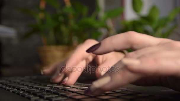 Primer Plano Vídeo Manos Femeninas Escribiendo Teclado Del Ordenador Portátil — Vídeos de Stock