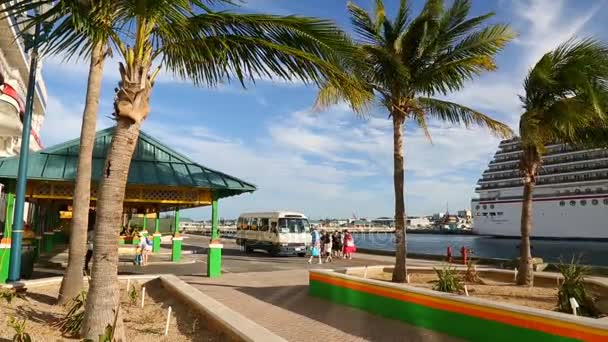 Mentre Navi Crociera Costa Lungomare Palme Ondeggianti Nel Vento Bahamas — Video Stock