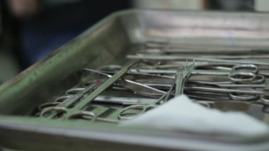 Sterilizasyon hayvanlar için hayvan hastalıklarıyla ilgili aracı 