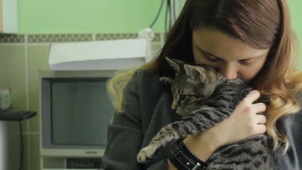 若い女性が 動物病院で猫の所有者を抱いて 彼女の腕の中で彼女の猫を持って寄り添う 手術前に落ち着か — ストック動画