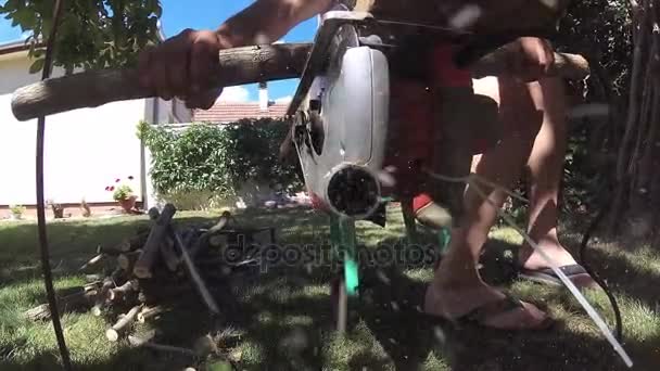 Man Cutting Wood Branches Making Them Firewood — Stock Video