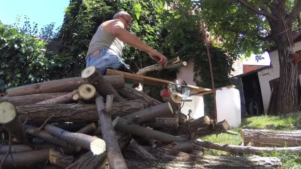 Mann Der Holz Und Äste Schneidet Und Daraus Brennholz Macht — Stockvideo