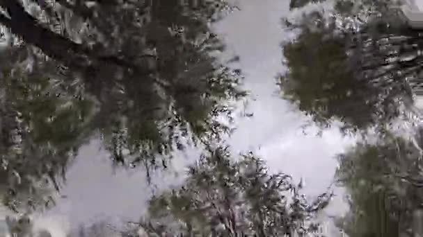 Vue de bas en haut au ciel bleu clair, caméra lever les yeux et tourne rapidement et tourner autour 