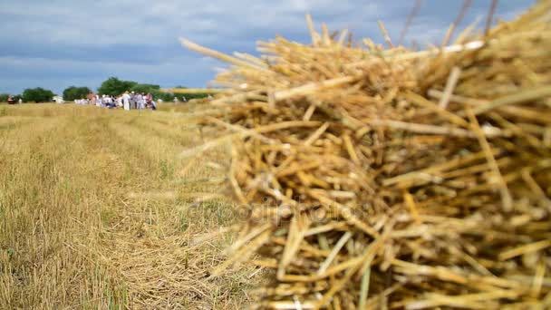 Mensen Klaar Voor Ceremonie Van Handmatige Oogst Veld Droog Stro — Stockvideo