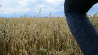 Genç kadın bir alanda tahıl gider