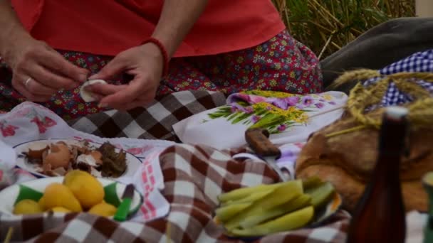 Insamling Manuellt Skördat Kornet Fältet Den Juli 2017 Zrenjanin Vojvodina — Stockvideo