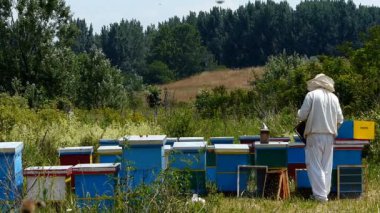 Adam kovanında kare giyiyor