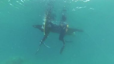 su teknesine yanındaki iki dalgıç