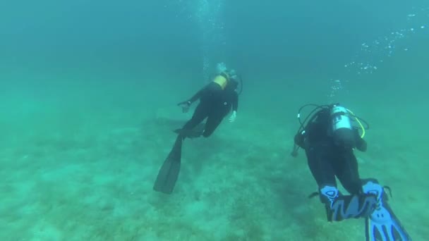 Two Female Divers Bottom Sea — Stock Video