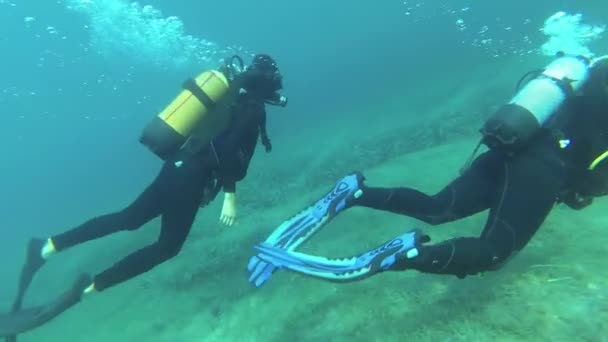 海の底で つの女性ダイバー — ストック動画