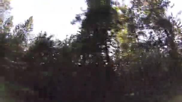 Voyage en voiture entouré par une belle nature 