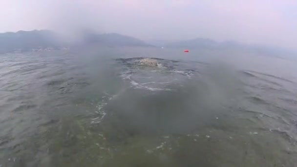 Jovem Mulher Mergulha Água Enquanto Câmera Segue Pequeno Peixe Parte — Vídeo de Stock