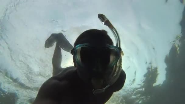 Snorkling Mannen Med Masken Som Dykning Havet — Stockvideo