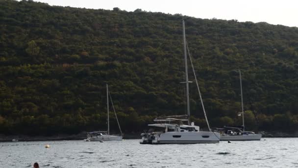 Drei Segelboote Auf Dem Wasser September 2017 Bucht Von Kotor — Stockvideo