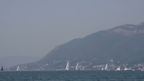 Velero Horizonte Hermoso Fondo Las Montañas Del Mar Adriático — Vídeos de Stock