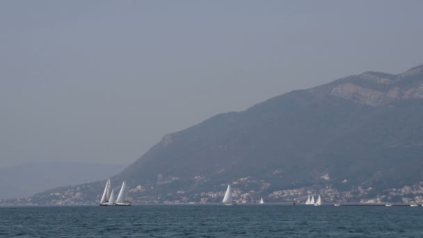 Velero Horizonte Hermoso Fondo Las Montañas Del Mar Adriático — Vídeos de Stock