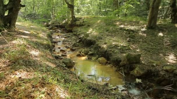 Pan Izquierda Derecha Arroyo Ciudad Del Diablo Localidad Serbia Color — Vídeo de stock