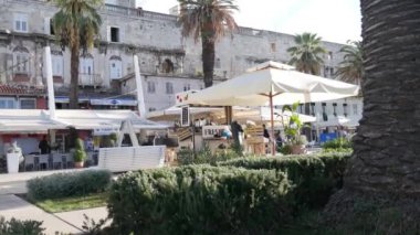 Split, Hırvatistan 20 Ekim 2017 palmiye ağaçları ile güzel mesire
