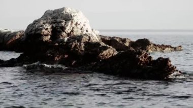 tuzlu kaya denizden - Split, Hırvatistan