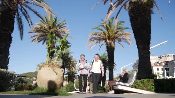 Schöne Promenade Mit Palmen Split Kroatien Oktober 2017 — Stockvideo