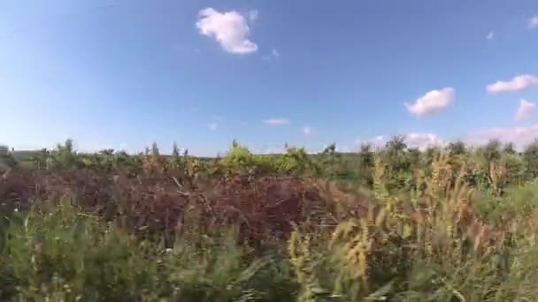 Conduite Sur Route Rurale Vue Sur Prairie Vergers Capture Par — Video