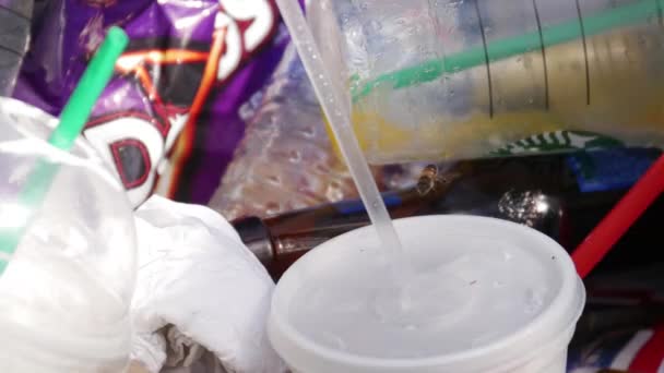 Arı Saman Yakınındaki Plastik Kap Üzerinde Duruyor — Stok video