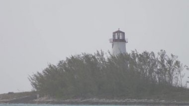 Yeşilliklerle çevrili deniz feneri
