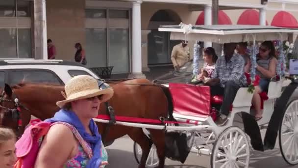 Bahamas Setembro 2017 Passeios Cavalo Turistas Condução — Vídeo de Stock