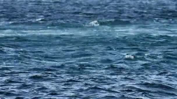 Les vagues bleu océan 