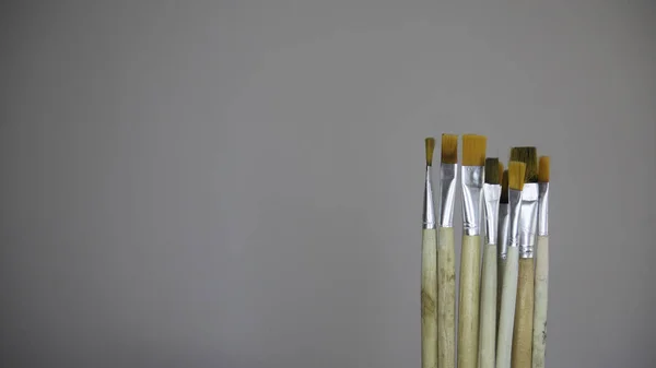 Diversi Pennelli Sullo Sfondo Bianco Artista Molti Pennelli Isolati Sfondo — Foto Stock