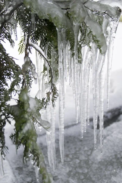 Velmi Chladné Zimy Sněhu Ledu Rampouchů — Stock fotografie
